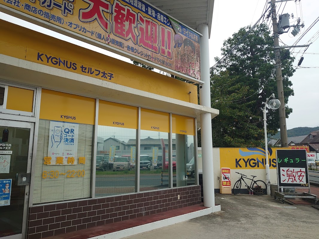 KYGNUS セルフ太子 SSの様子