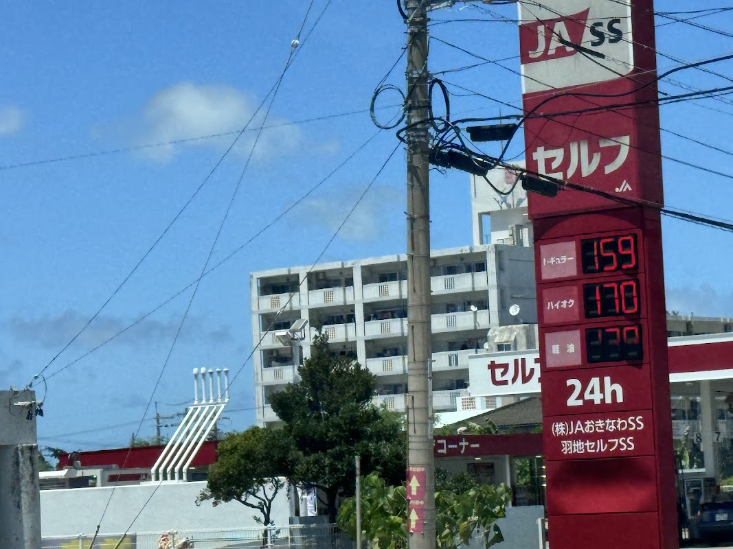 JA-SS 羽地セルフSSの様子